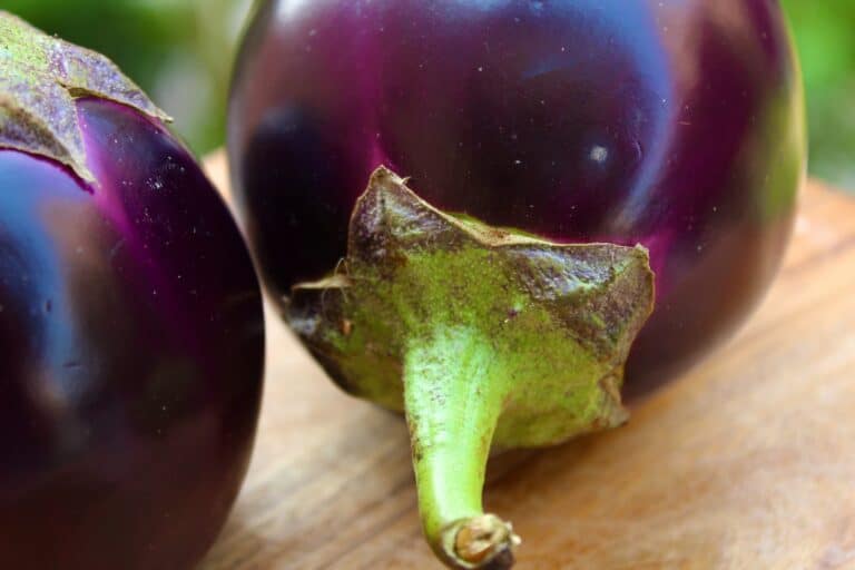 comment cuisiner aubergines