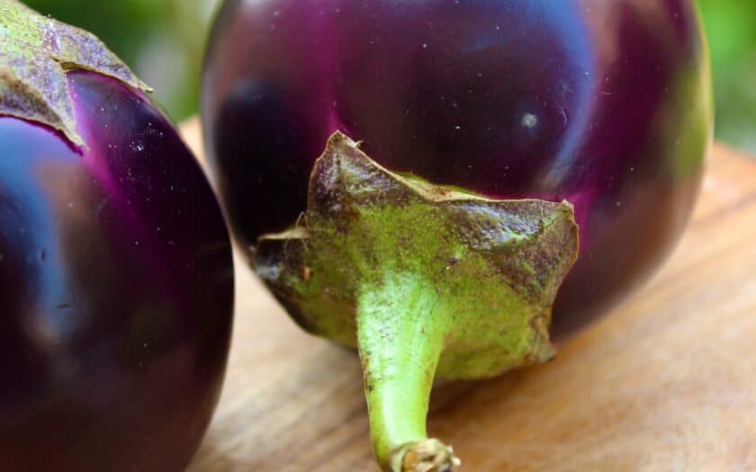 comment cuisiner aubergines