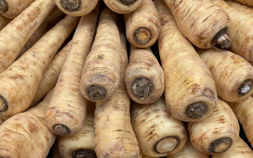 comment cuisiner panais