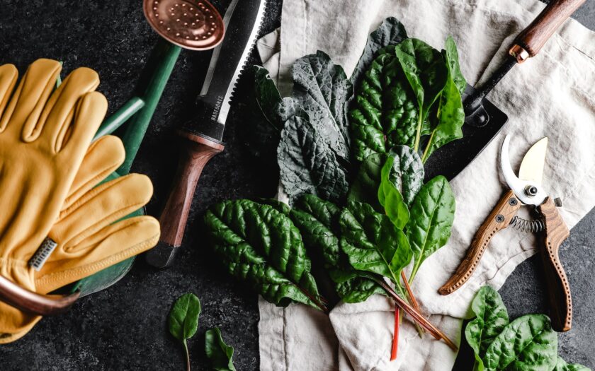 cuisiner blettes congelees