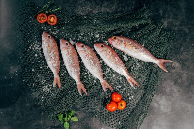 decongeler poisson avant cuisiner