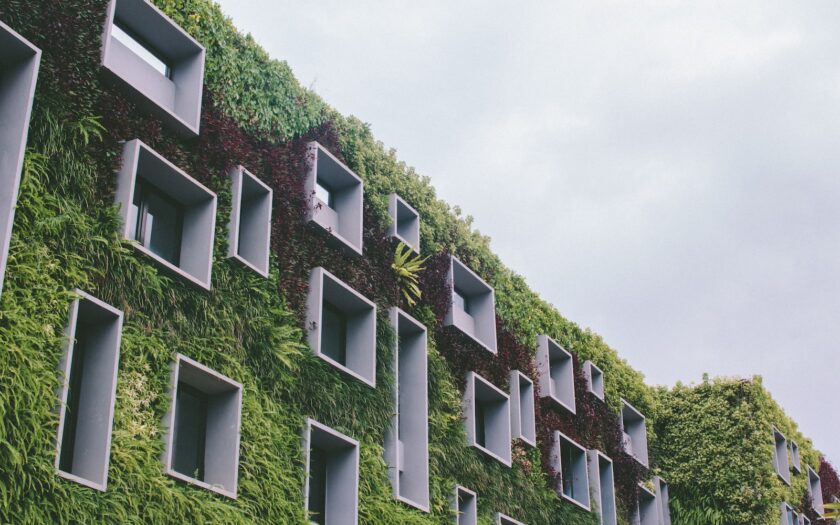 habitat ecologique environnement
