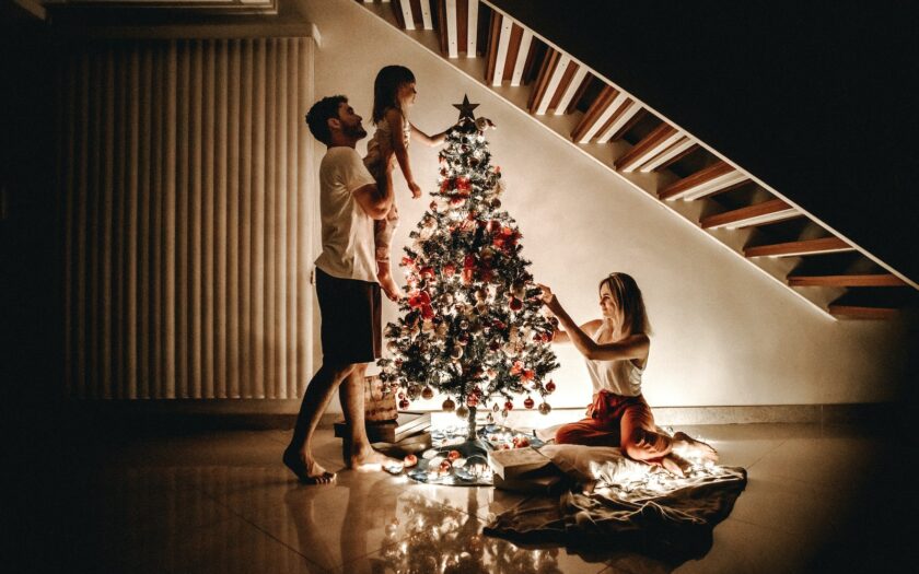 bois sapin